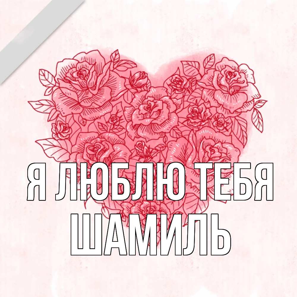 Открытка  с именем. Шамиль, Я люблю тебя  