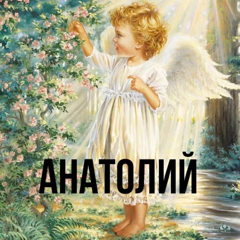 Картинка  с именем , Анатолий