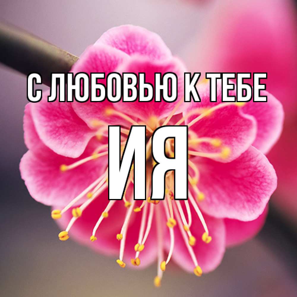 Открытка  с именем. Ия, С любовью к тебе  