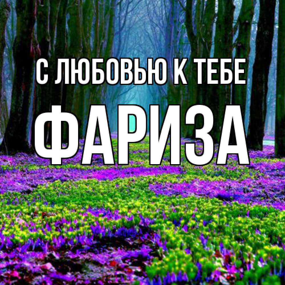 Открытка  с именем. Фариза, С любовью к тебе  
