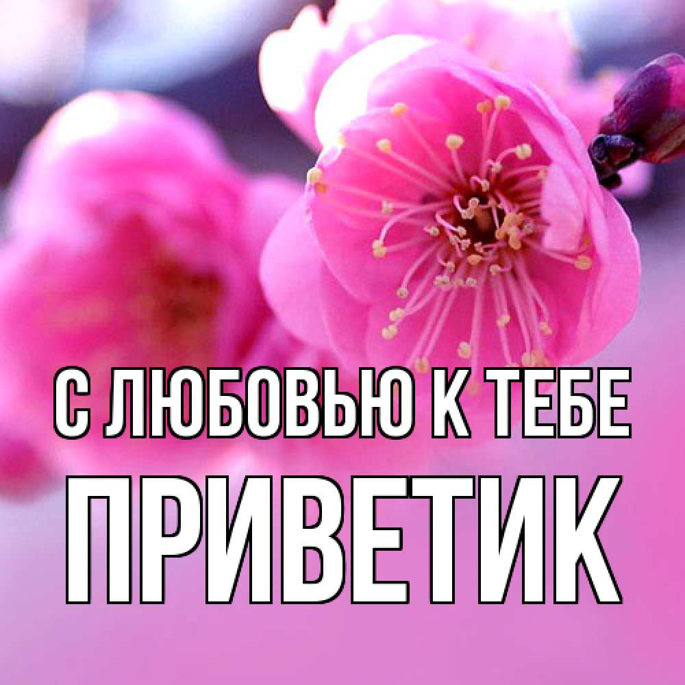 Открытка  с именем. приветик, С любовью к тебе  