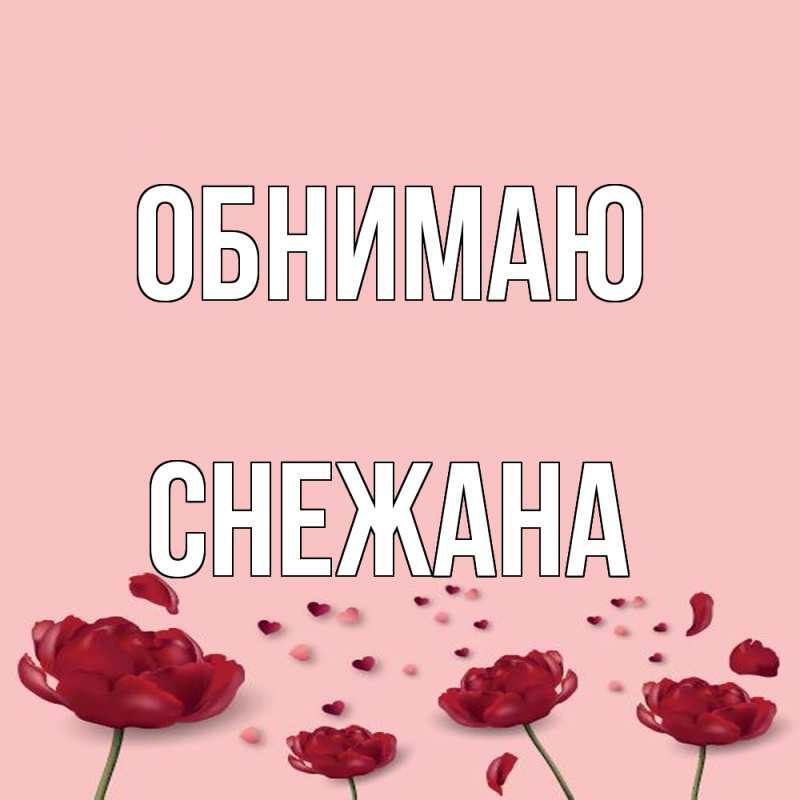 Картинка Обнимаю, Снежана