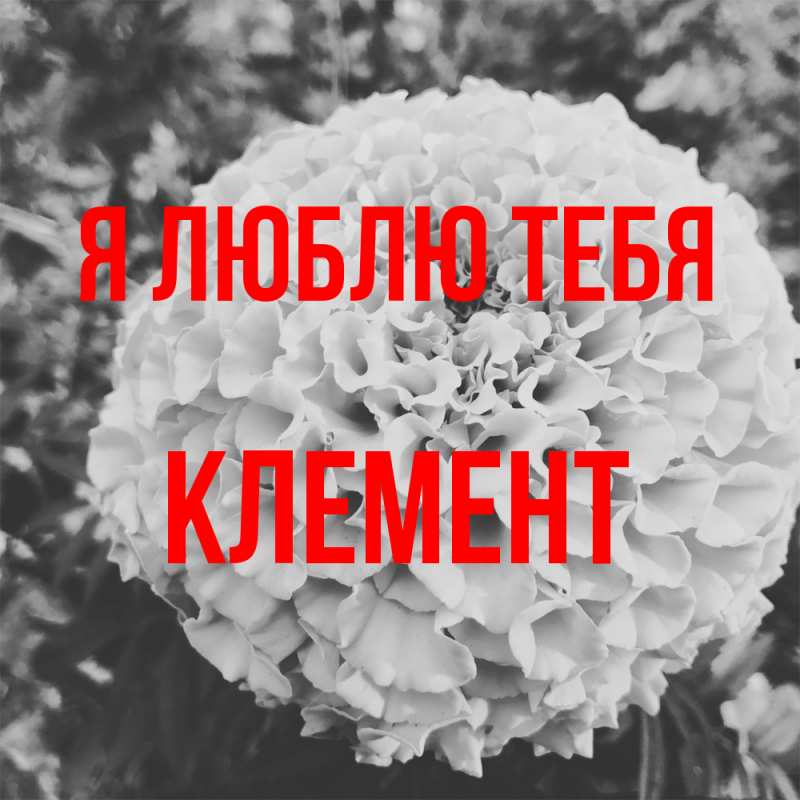 Картинка Я люблю тебя, Клемент
