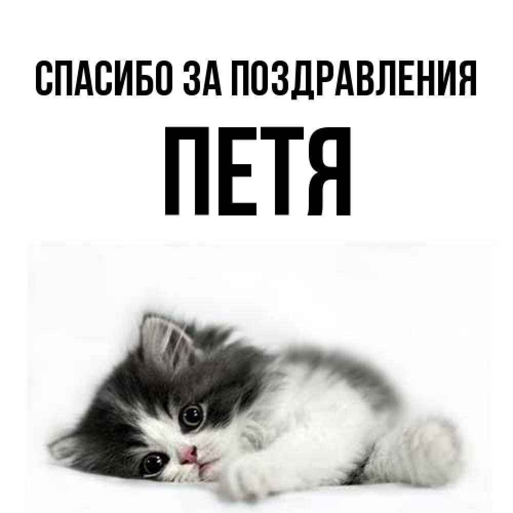 Открытка  с именем. Петя, Спасибо за поздравления  