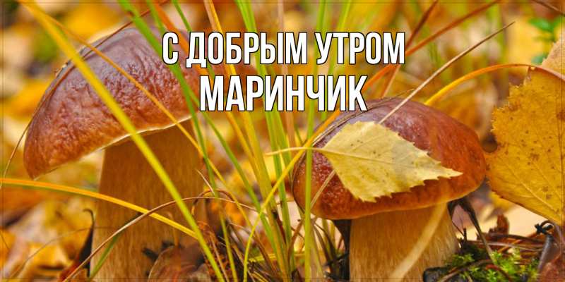 Картинка С добрым утром, Маринчик