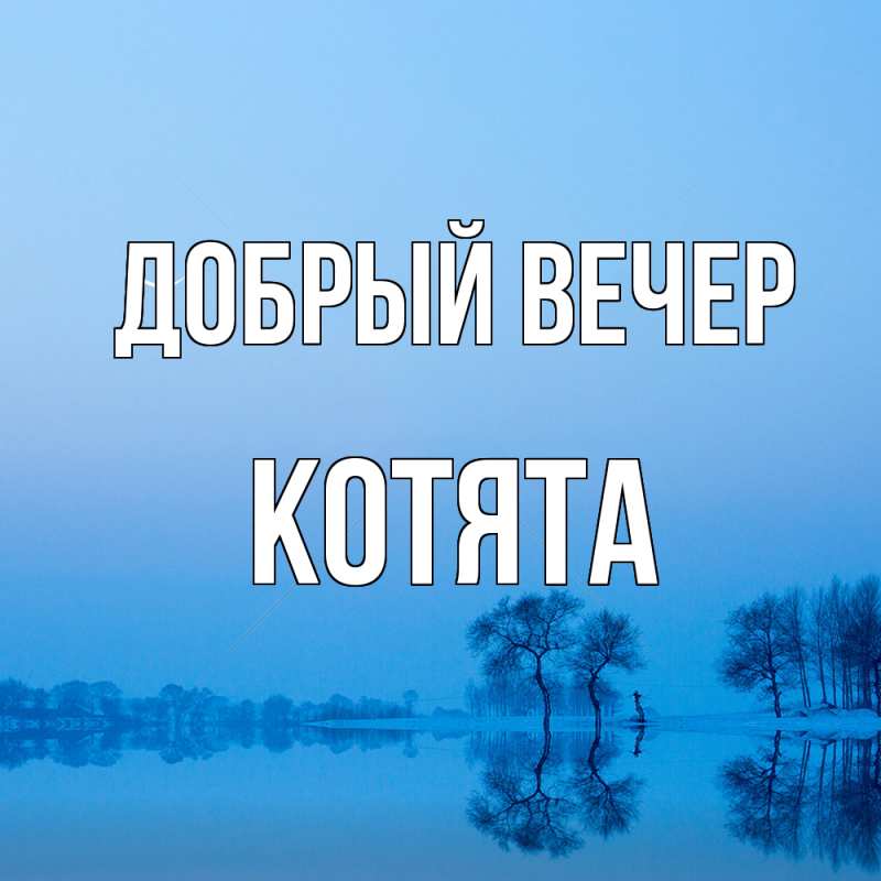 Картинка Добрый вечер, Котята