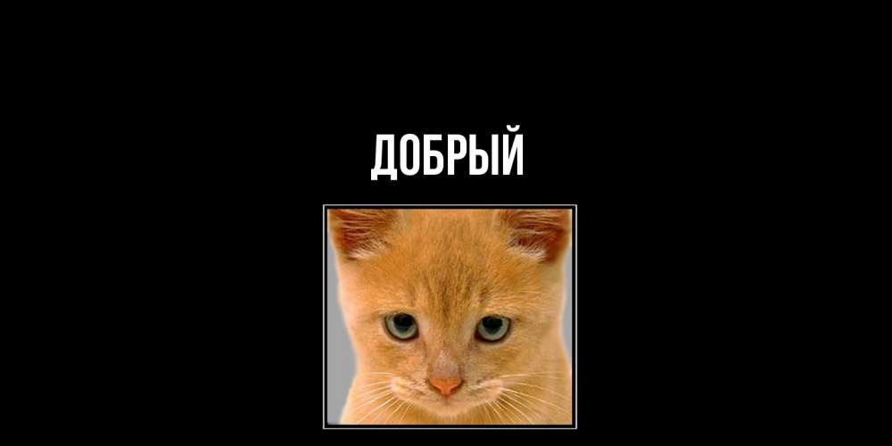 Открытка  с именем. Добрый, Главная  