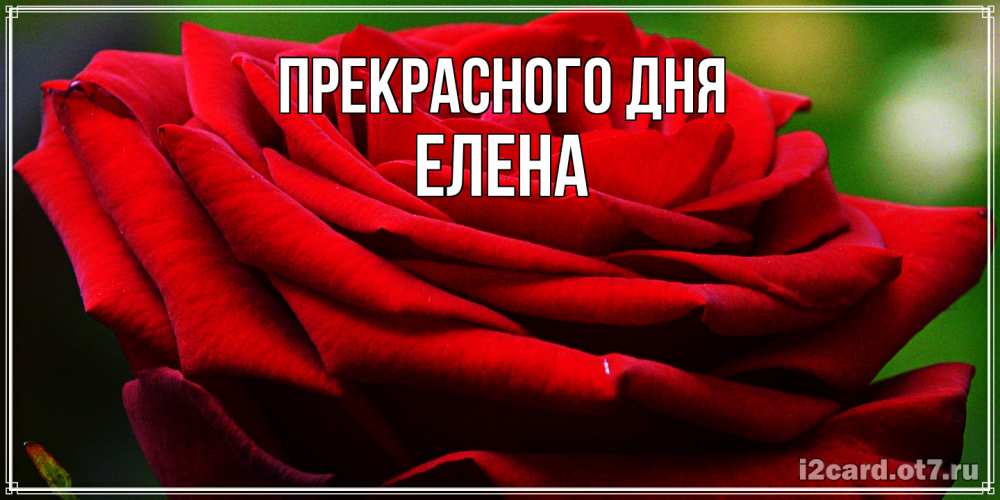 Открытка  с именем. Елена, Прекрасного дня  