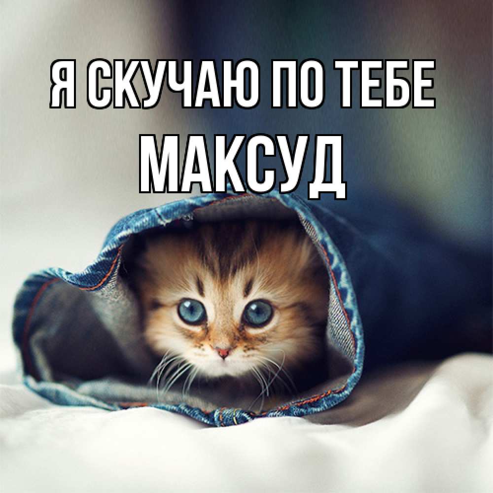 Открытка  с именем. Максуд, Я скучаю по тебе  