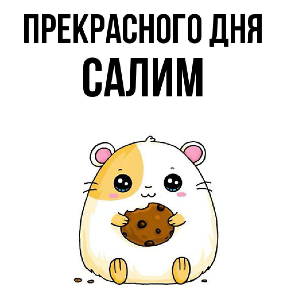 Открытка  с именем. Салим, Прекрасного дня  