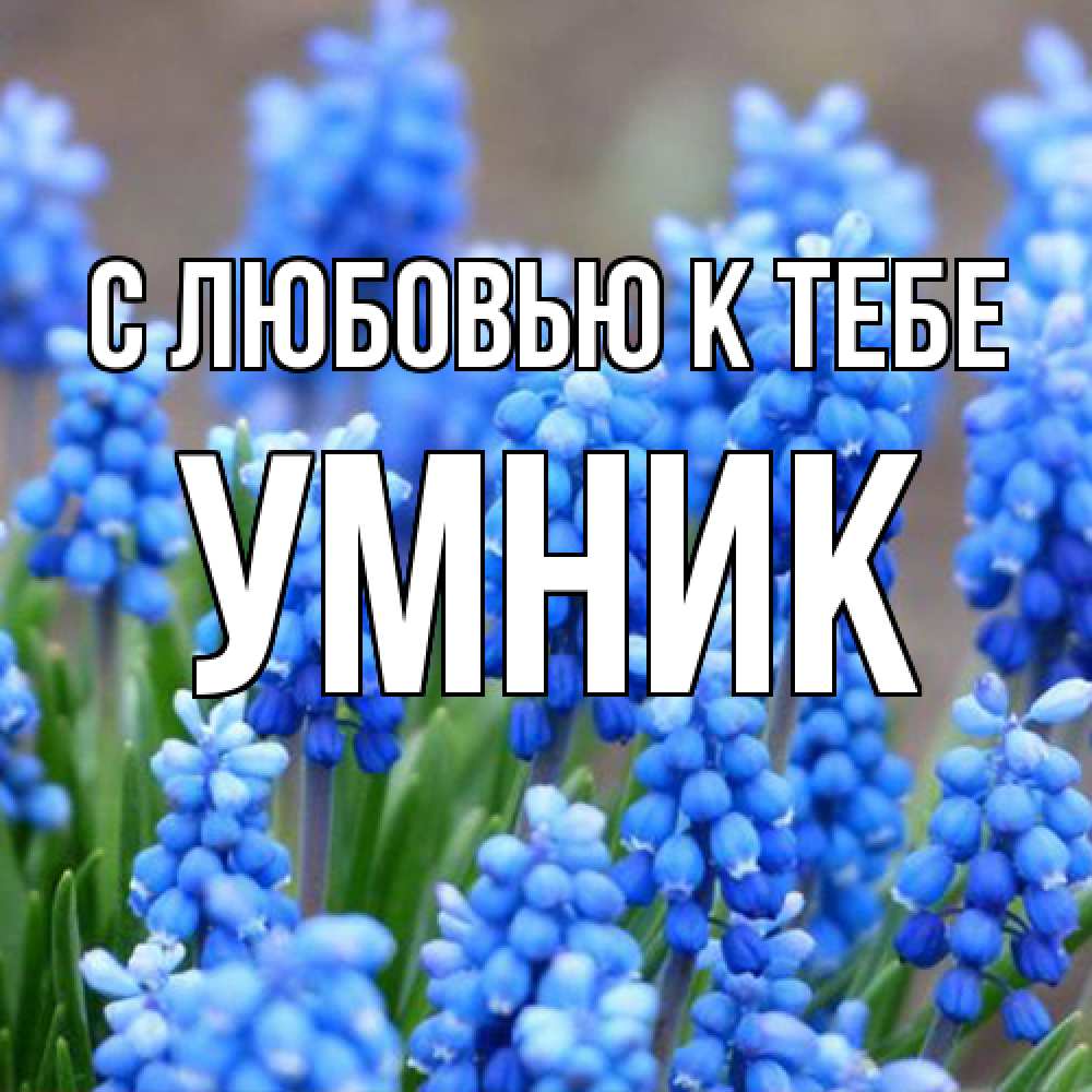 Открытка  с именем. Умник, С любовью к тебе  