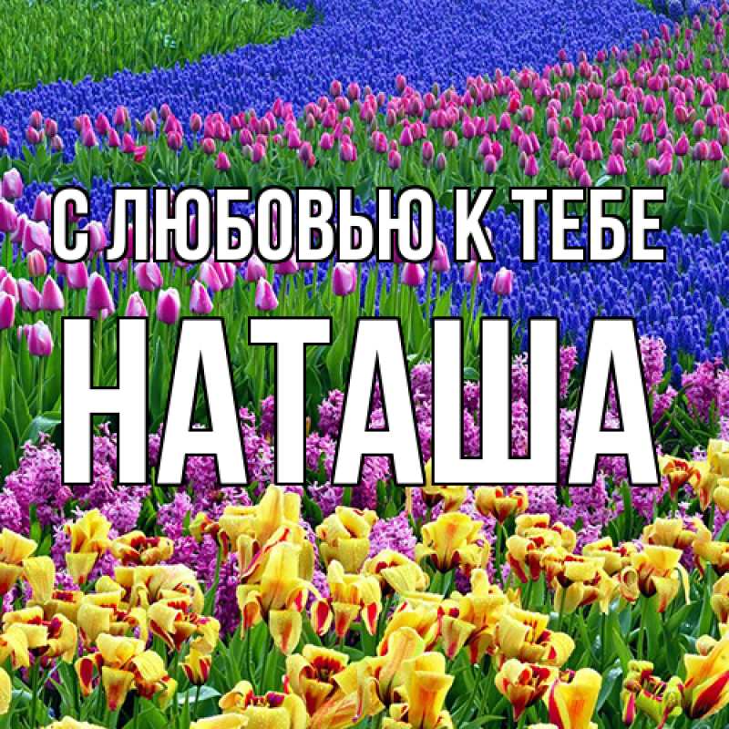Картинка С любовью к тебе, Наташа