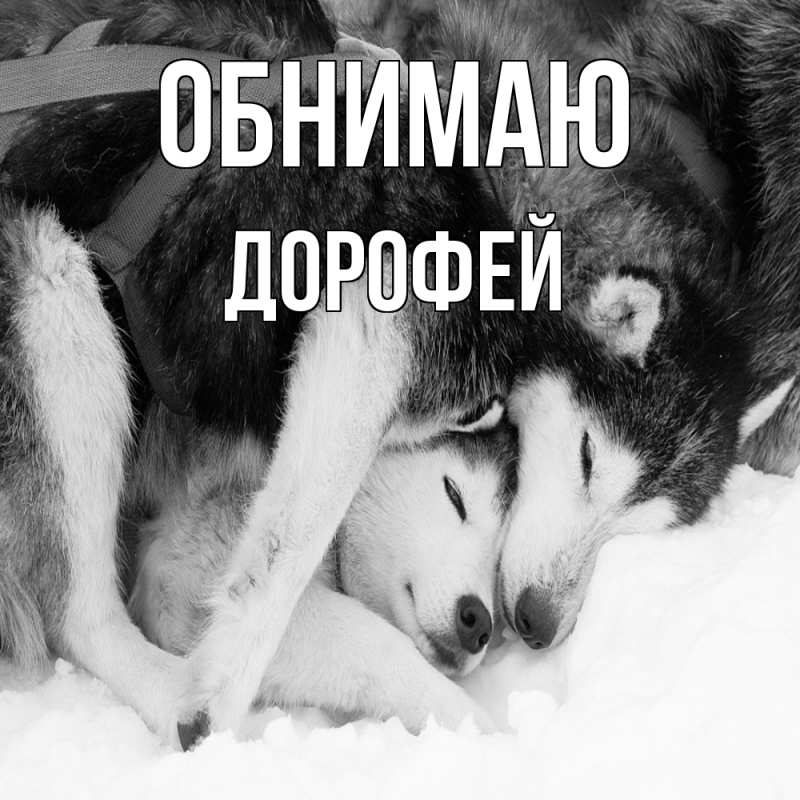 Картинка Обнимаю, Дорофей