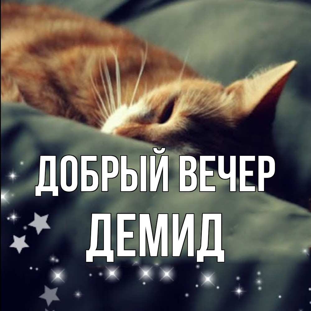 Открытка  с именем. Демид, Добрый вечер  