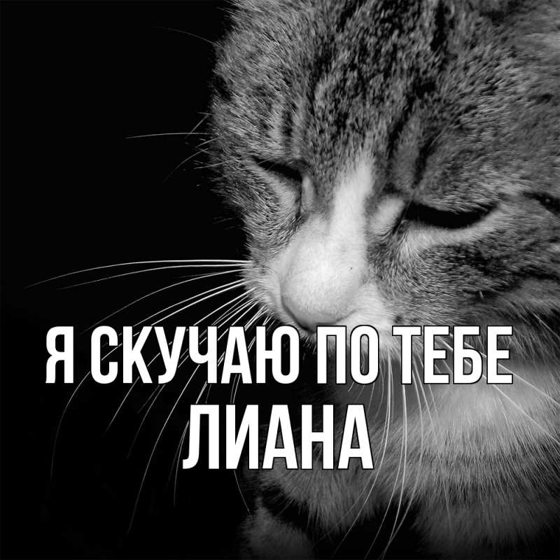 Картинка Я скучаю по тебе, Лиана