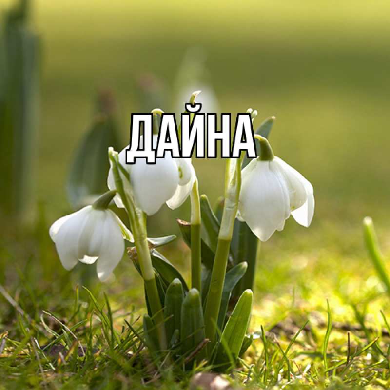 Картинка  с именем , Дайна