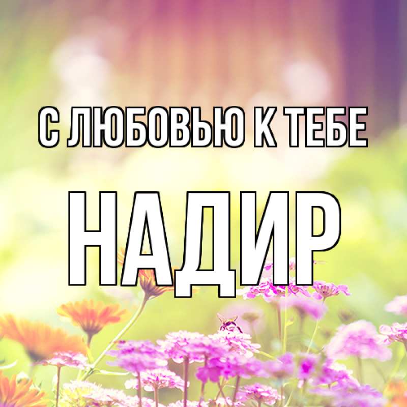 Картинка С любовью к тебе, Надир