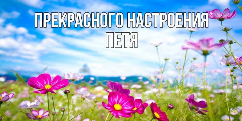 Картинка Прекрасного настроения, петя