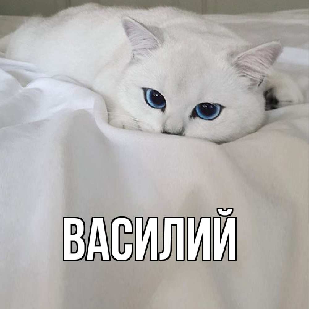 Открытка  с именем. Василий, Главная  