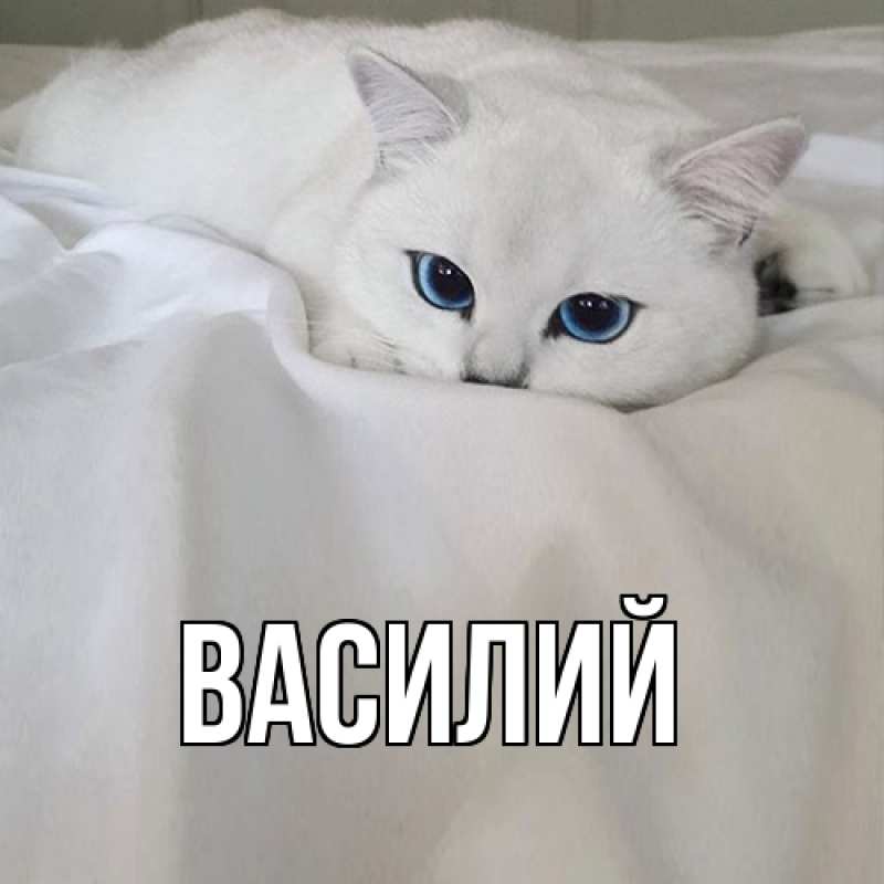 Картинка  с именем , Василий