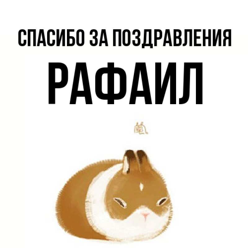 Картинка Спасибо за поздравления, Рафаил