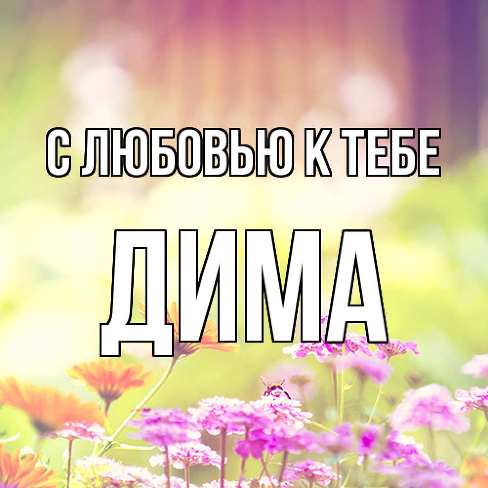 Открытка  с именем. Дима, С любовью к тебе  