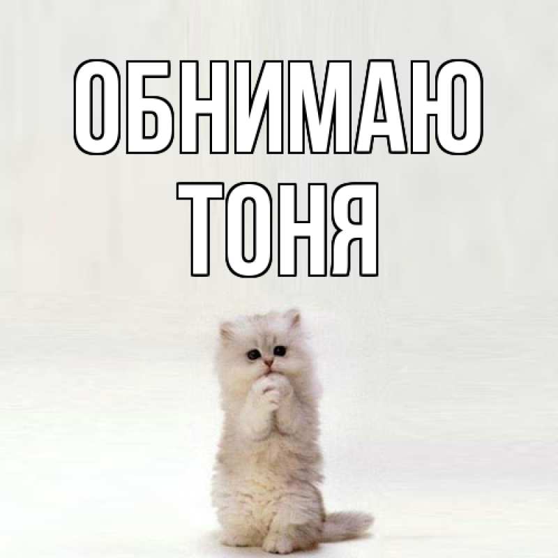 Картинка Обнимаю, Тоня