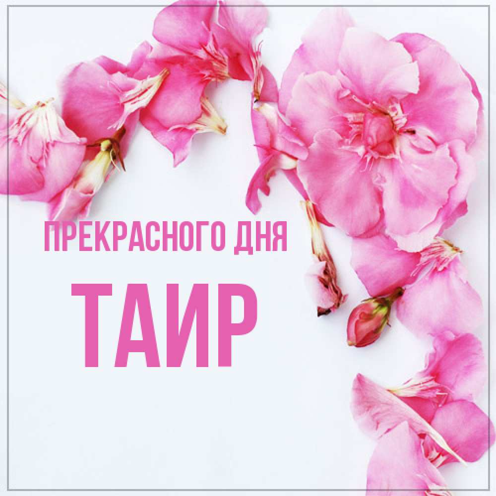 Открытка  с именем. Таир, Прекрасного дня  
