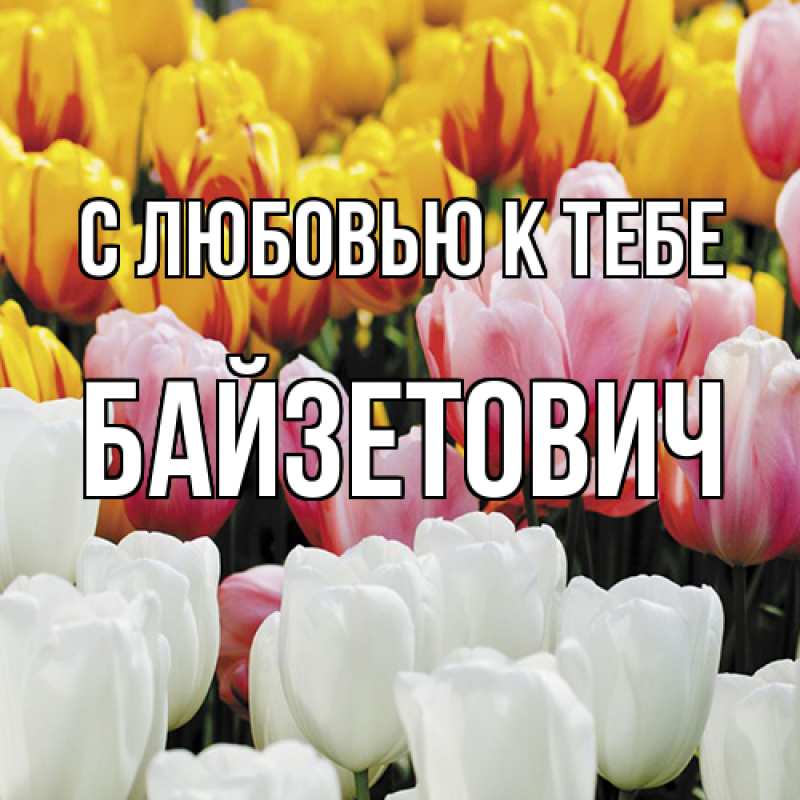 Картинка С любовью к тебе, Байзетович