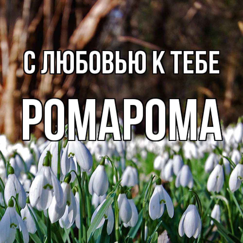 Открытка  с именем. РомаРома, С любовью к тебе  