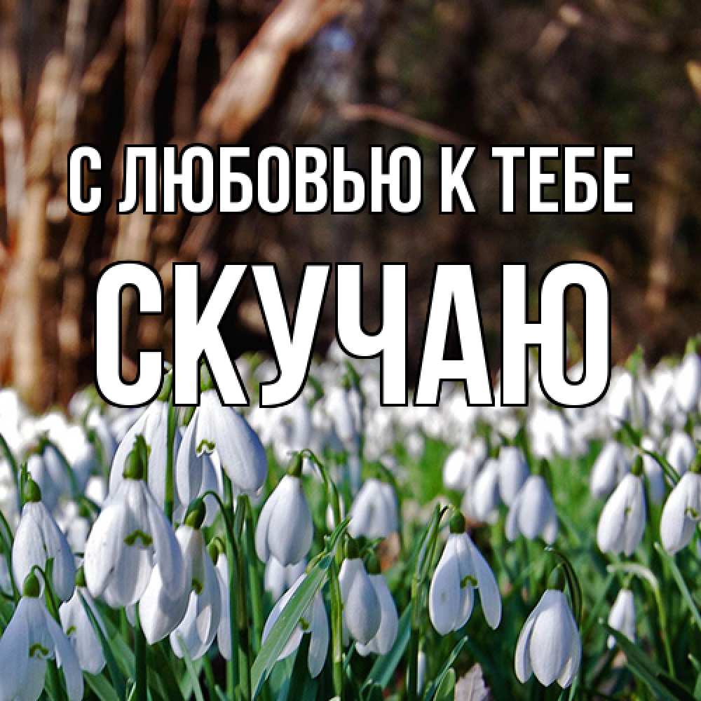 Открытка  с именем. Скучаю, С любовью к тебе  