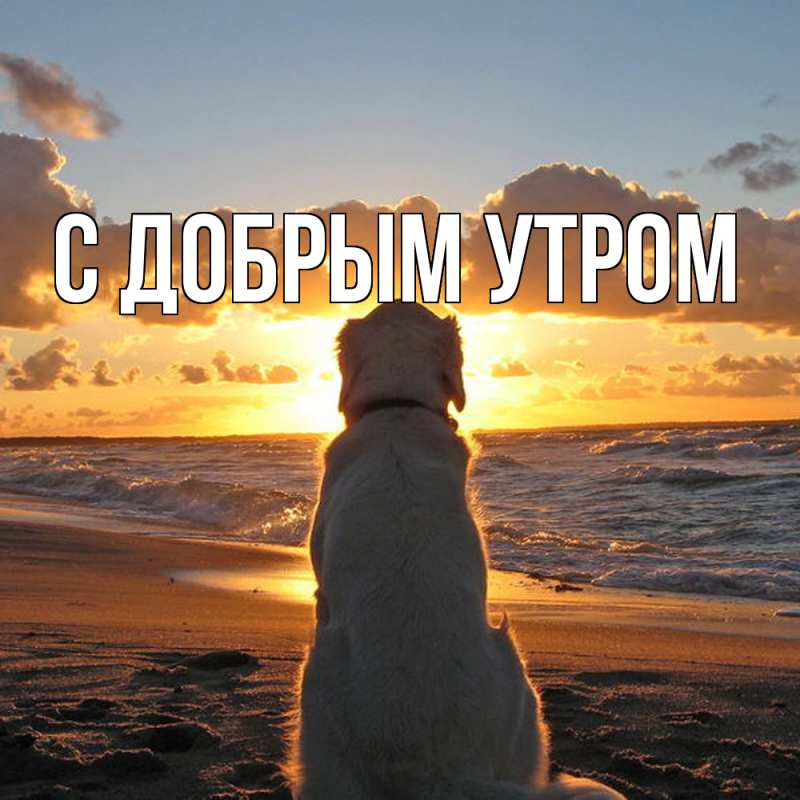 Картинка С добрым утром, 