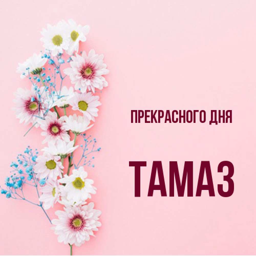 Открытка  с именем. Тамаз, Прекрасного дня  