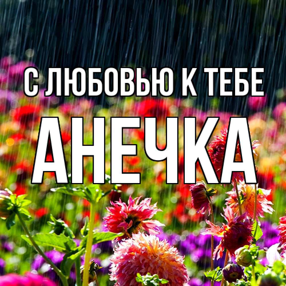 Открытка  с именем. анечка, С любовью к тебе  