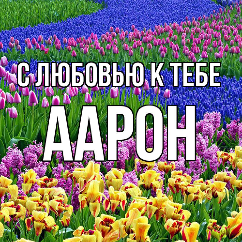Открытка  с именем. Аарон, С любовью к тебе  