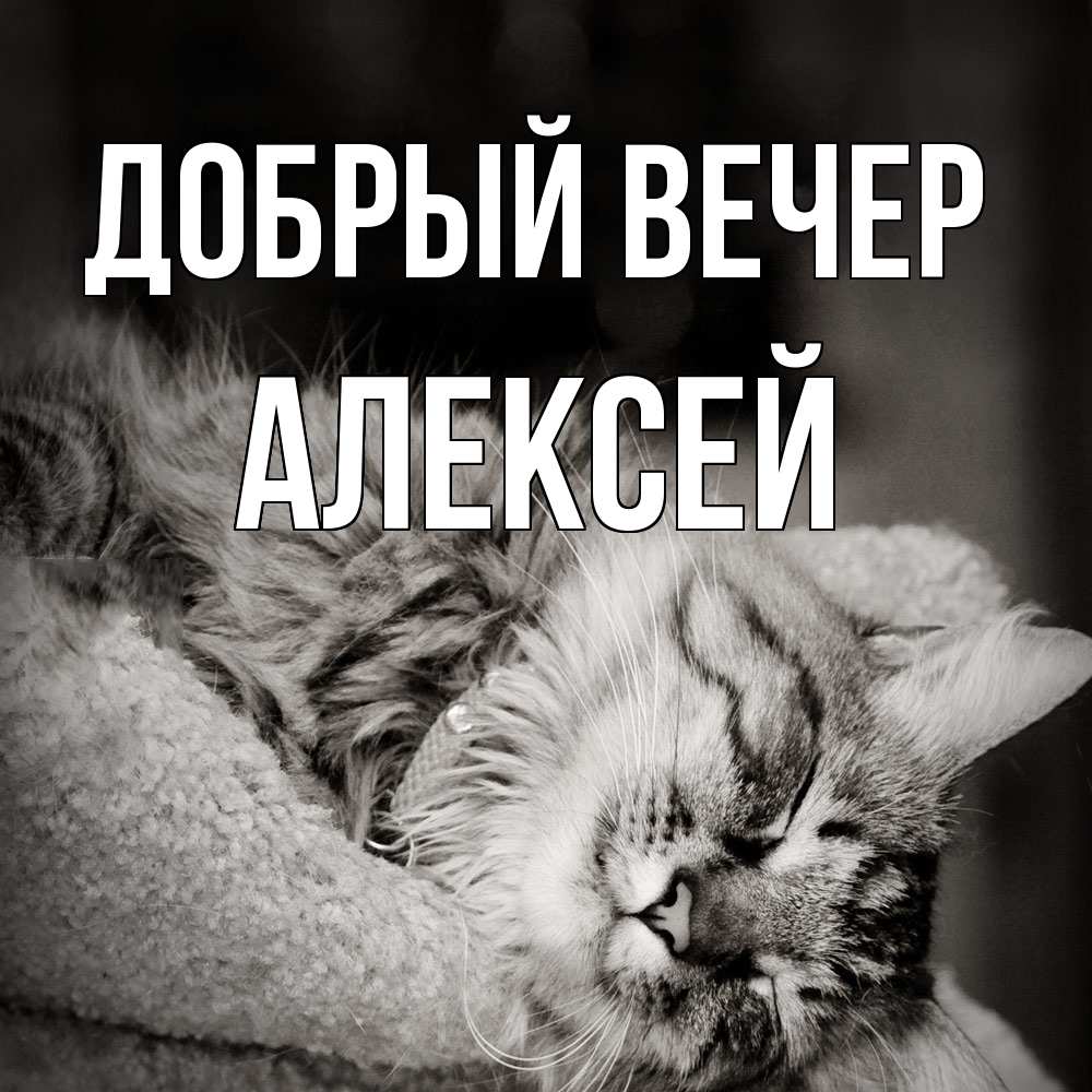 Открытка  с именем. Алексей, Добрый вечер  