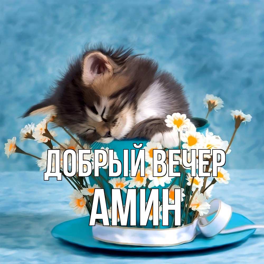 Открытка  с именем. Амин, Добрый вечер  