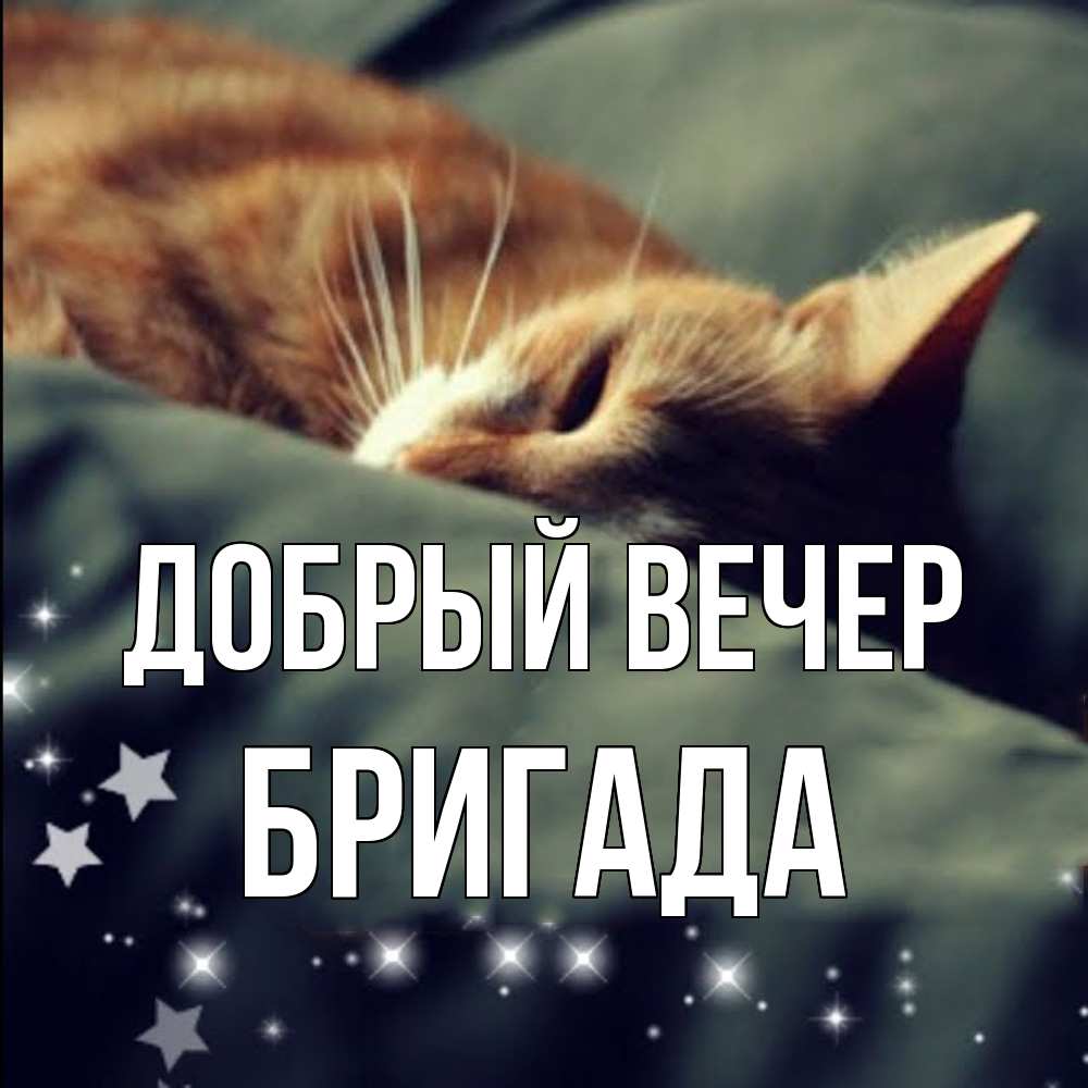 Открытка  с именем. Бригада, Добрый вечер  