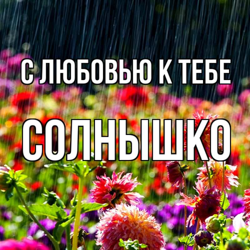 Картинка С любовью к тебе, Солнышко