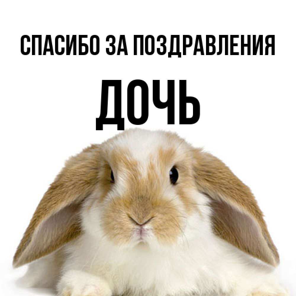 Открытка  с именем. Дочь, Спасибо за поздравления  
