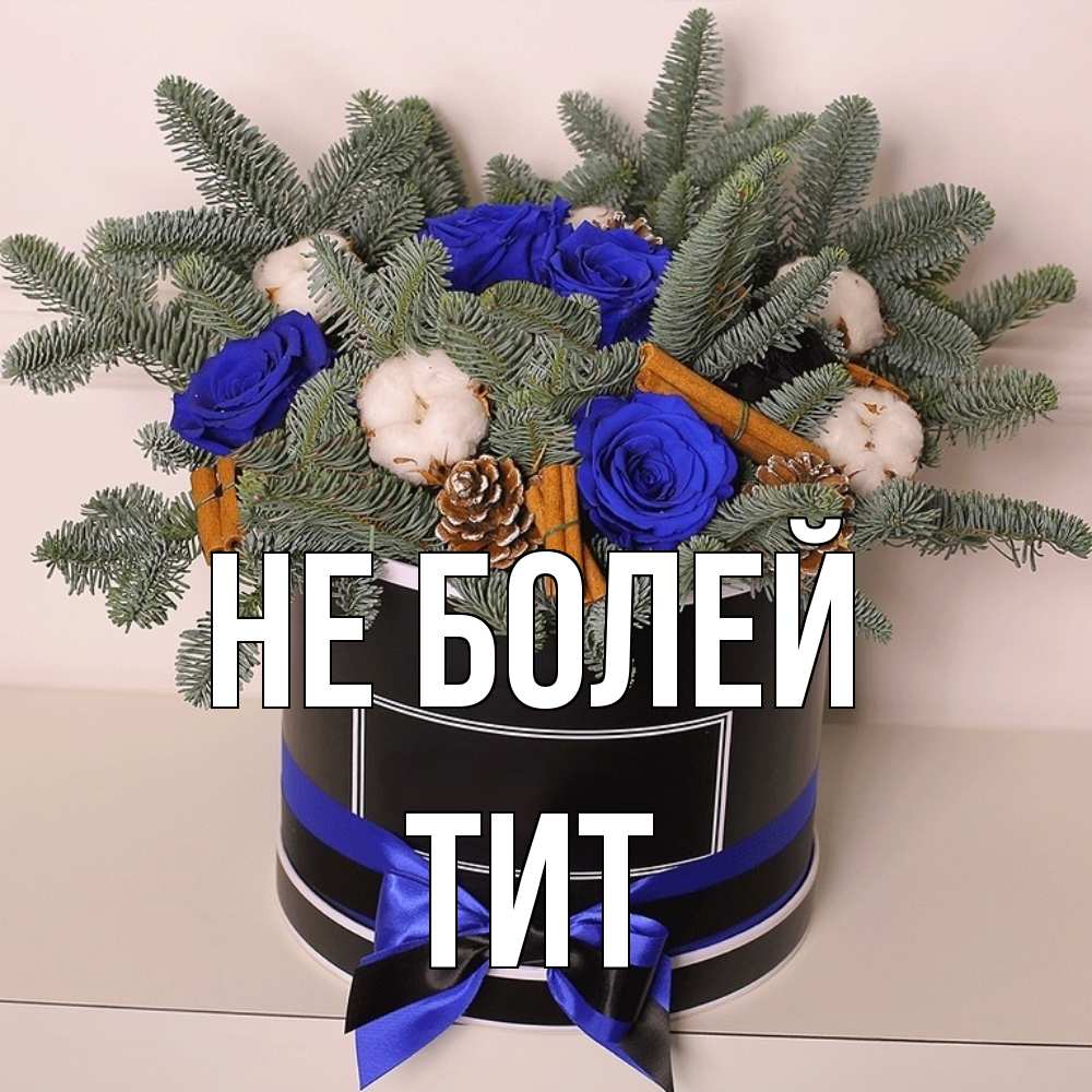 Открытка  с именем. Тит, Не болей  