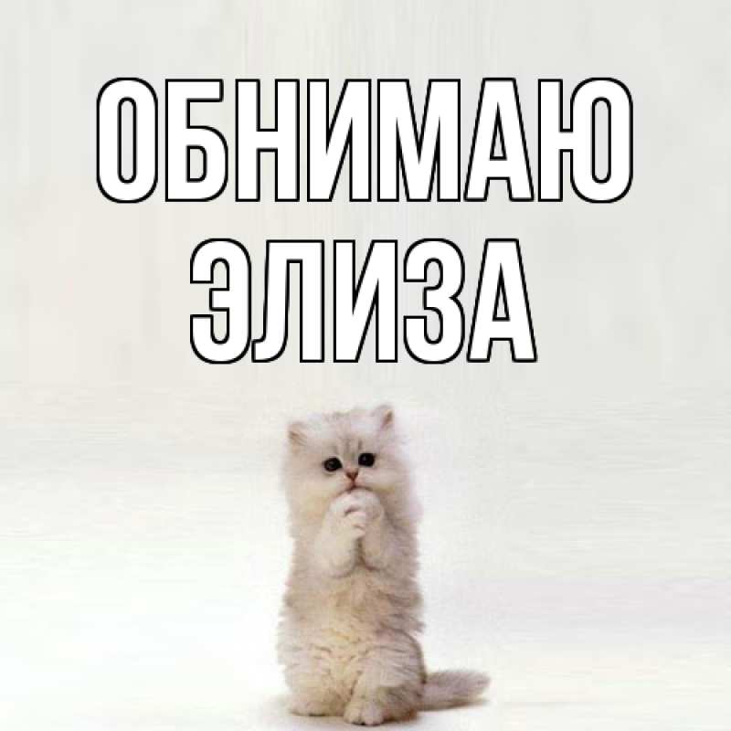 Картинка Обнимаю, Элиза