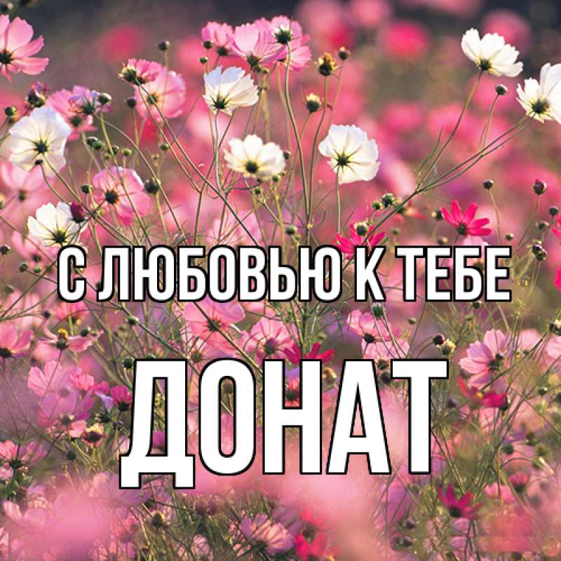 Открытка с именем, Донат, С любовью к тебе