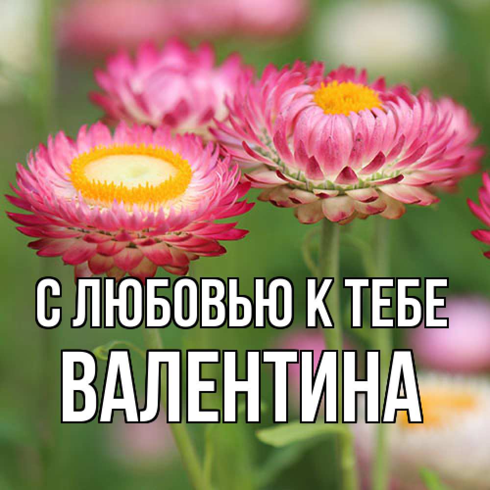 Открытка  с именем. валентина, С любовью к тебе  