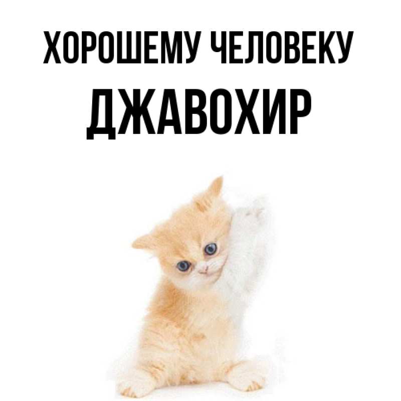 Картинка Хорошему человеку, Джавохир