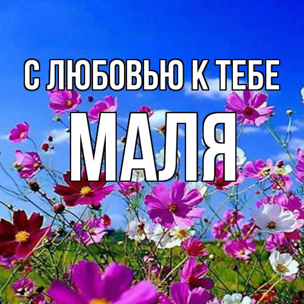 Открытка  с именем. Маля, С любовью к тебе  