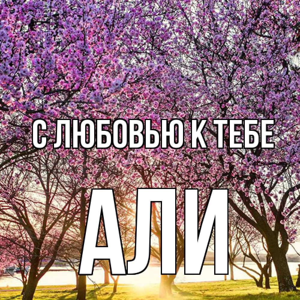 Открытка  с именем. Али, С любовью к тебе  