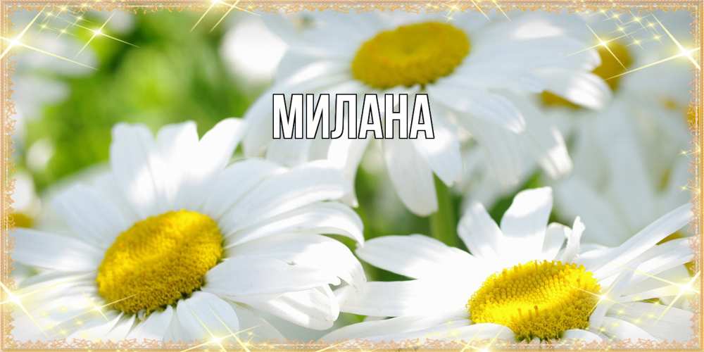 Открытка  с именем. Милана, Главная  