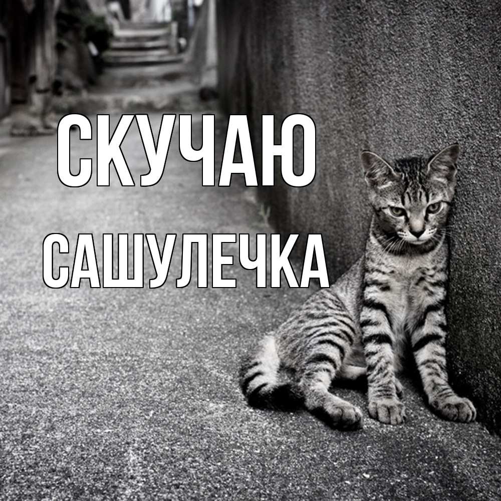 Открытка  с именем. Сашулечка, Скучаю  