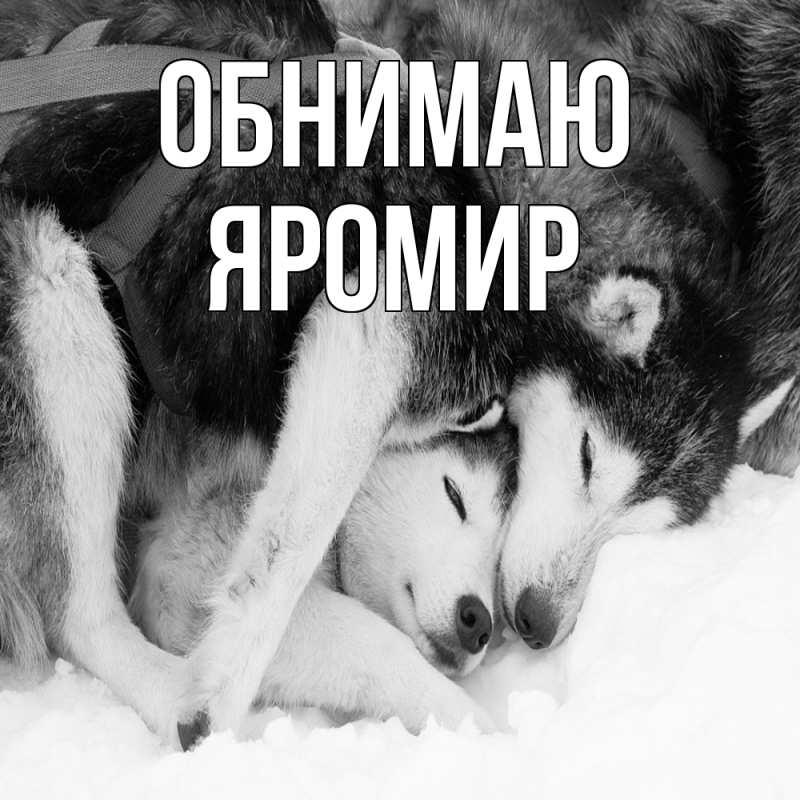 Картинка Обнимаю, Яромир